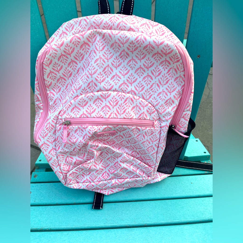 Scout Mini/Medium Backpack Compass Rose $20